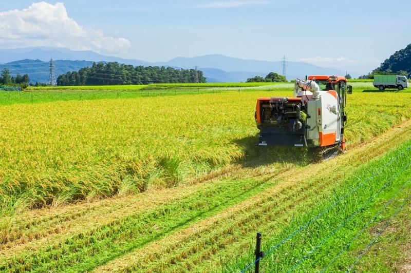 農作物の生産・栽培