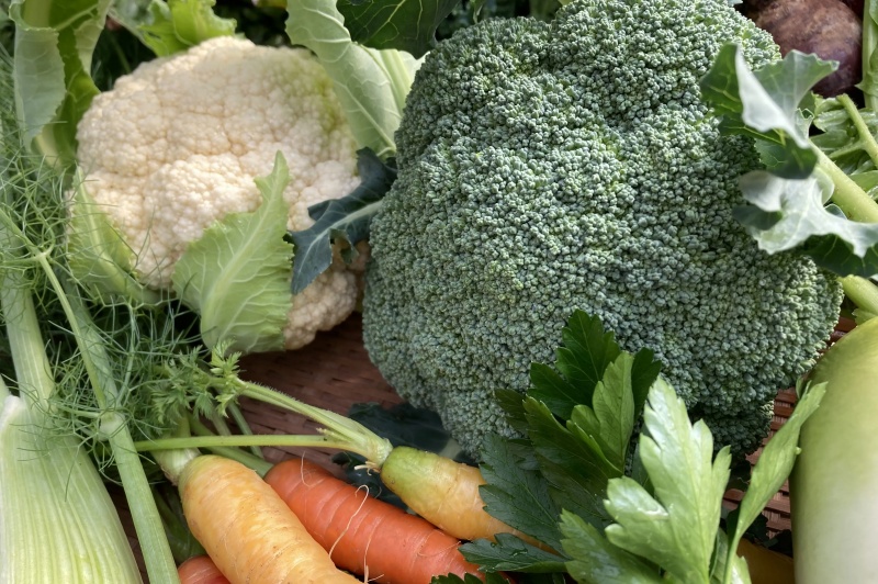 品質管理と安全供給