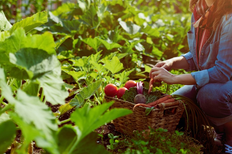 教育・体験型農業