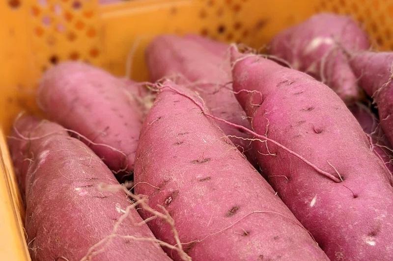 ブランドサツマイモ「紅はるか」