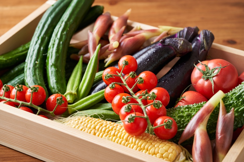 夏野菜セレクション